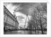 Millennium Wheel in London by Assaf Frank